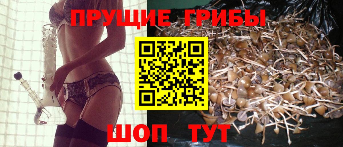 Губаха  Псилоцибиновые грибы мицелий  Вход с VPN  магазин  наркотиков  Галлюциногенные грибы ЛСД 